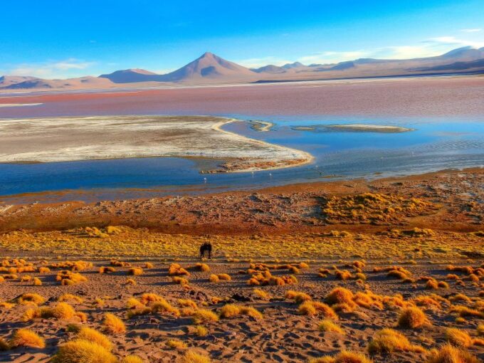 From La Paz: 5-Day Uyuni and Red Lagoon Tour With Bus Ride - Transportation Details