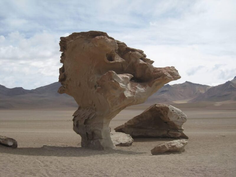 From La Paz: 5D Uyuni and Red Lagoon Tour by Bus - Accommodation and Meals