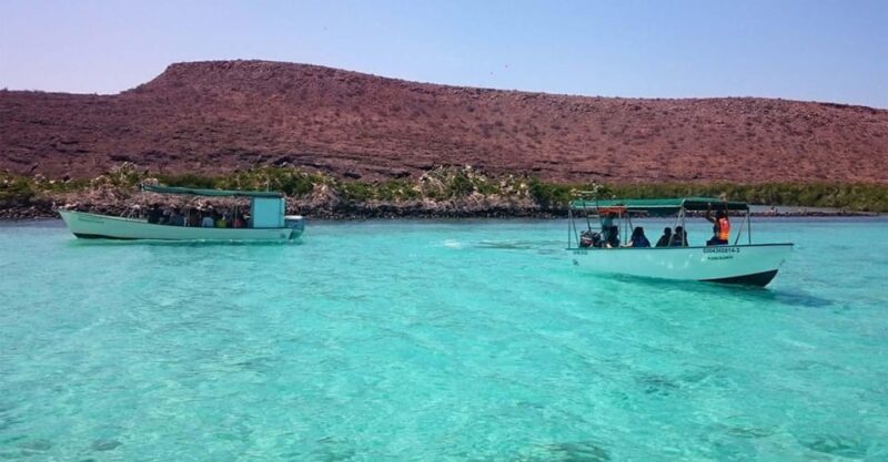 From La Paz: All-inclusive Espíritu Santo Island Tour - Tour Overview