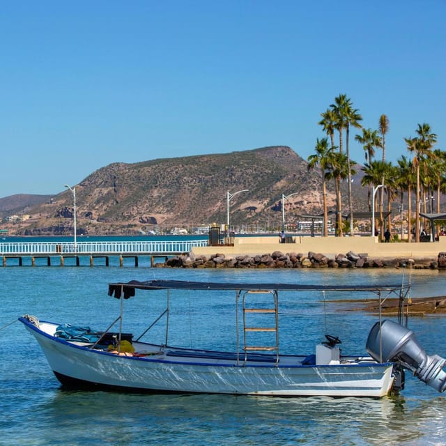 From La Paz: All-inclusive Espíritu Santo Island Tour - Swim With Friendly Sea Lions