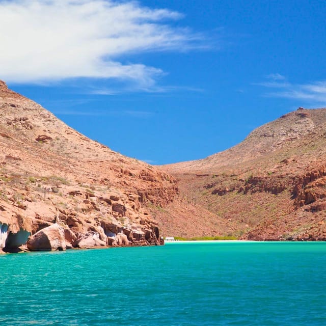 From La Paz: All-inclusive Espíritu Santo Island Tour - Frequently Asked Questions