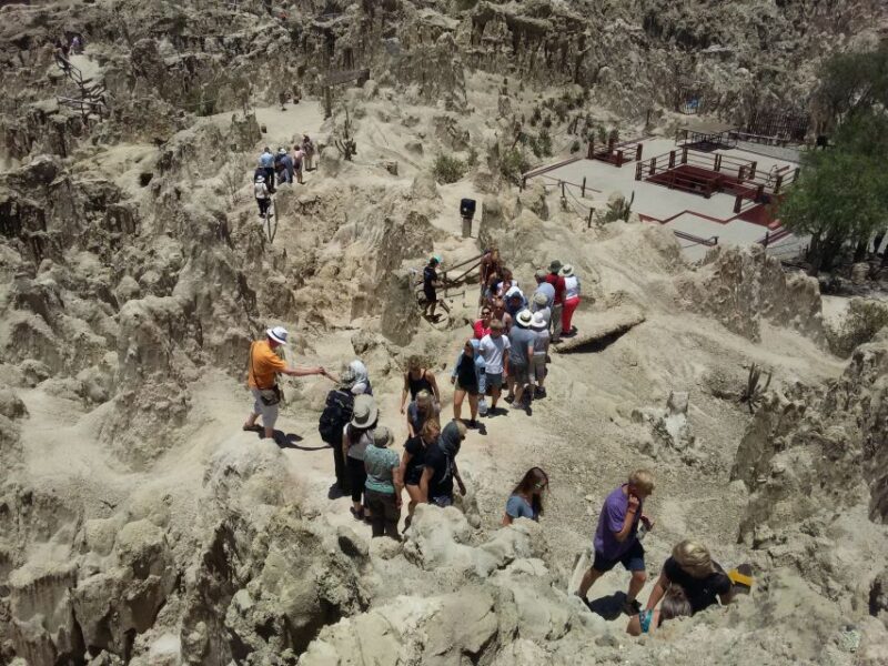 From: La Paz: Chacaltaya Mountain and Moon Valley Day Tour - Important Information