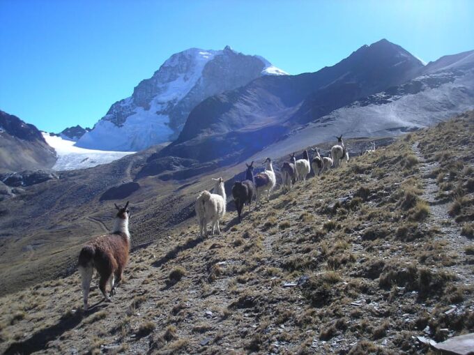 From La Paz: Condoriri National Park Full-Day Hiking Tour - Recap