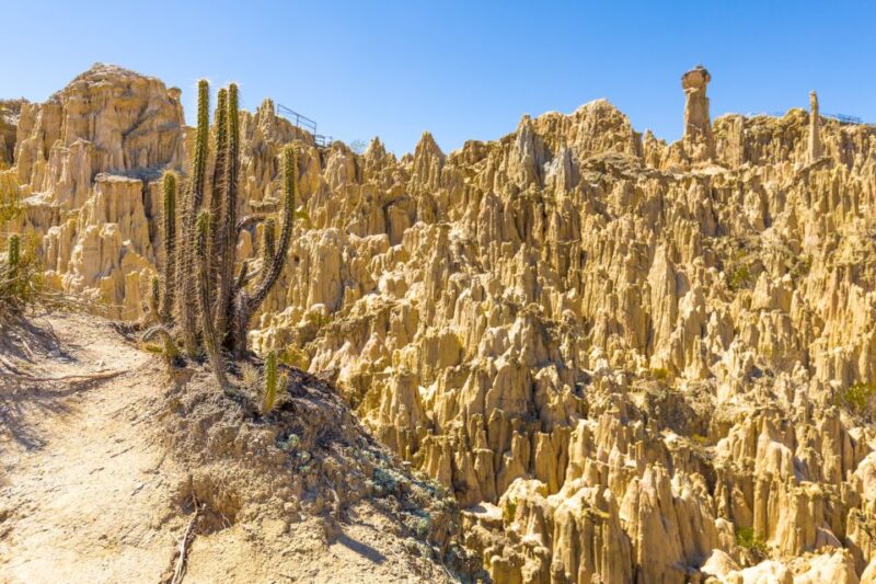 From La Paz: Day Trip to Chacaltaya and Moon Valley - Tour Suitability
