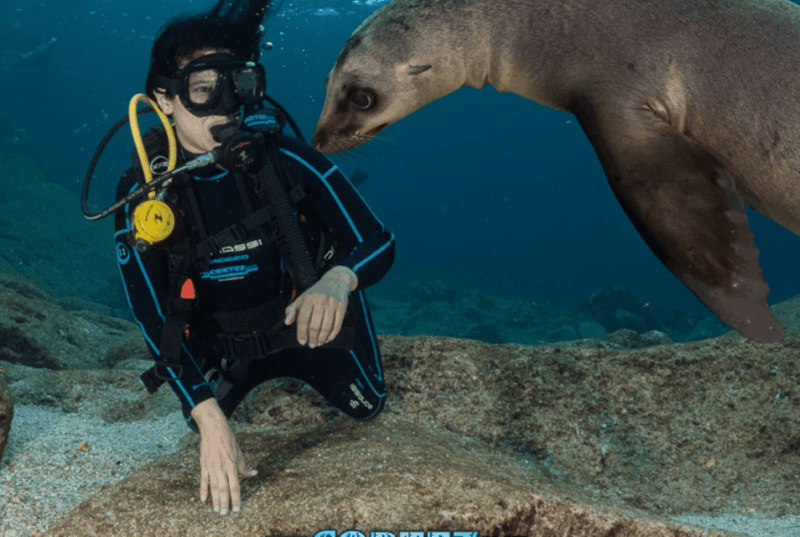 From La Paz: Scuba Diving 2 Tank Dive/3 Tank Dive - Key Points