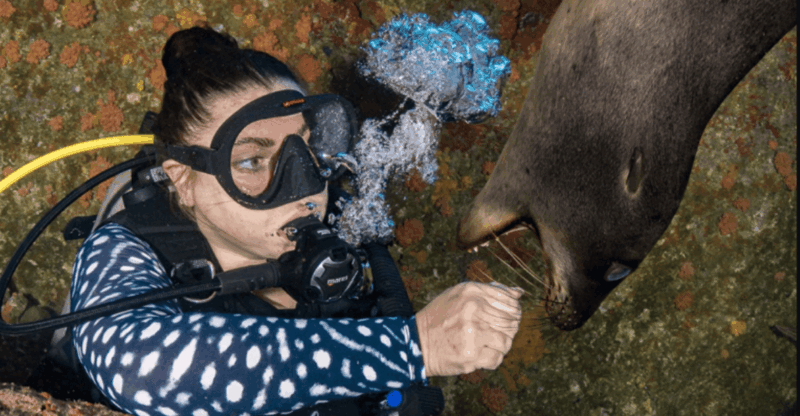 From La Paz: Scuba Diving 2 Tank Dive/3 Tank Dive - Experience Highlights