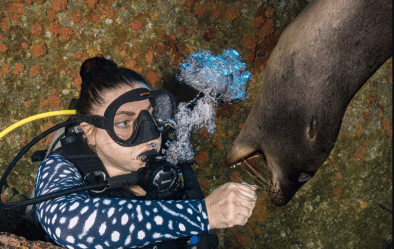 From La Paz: Scuba Diving 2 Tank Dive/3 Tank Dive - Gear and Equipment