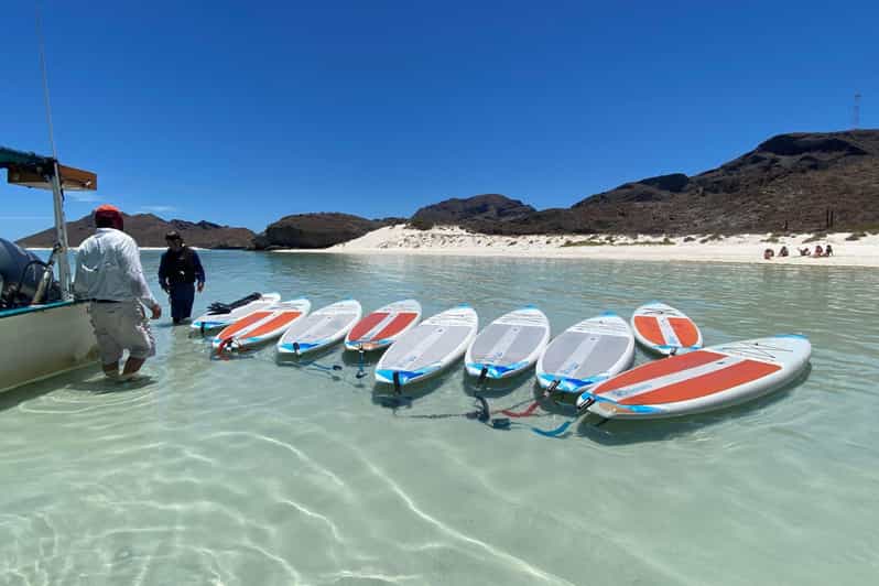 From La Paz: Sea Lions & Paddleboard Tour in Balandra - Paddleboarding Experience