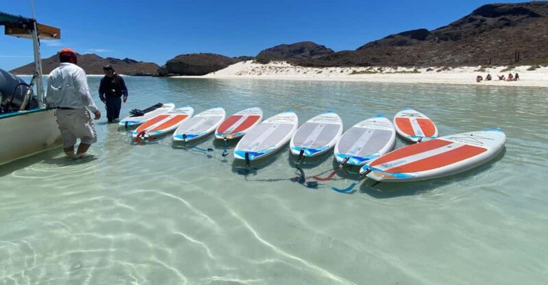 From La Paz: Sea Lions & Paddleboard Tour in Balandra - Included Amenities