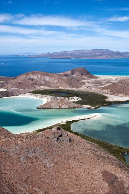 From La Paz: Sea Lions & Paddleboard Tour in Balandra - Frequently Asked Questions