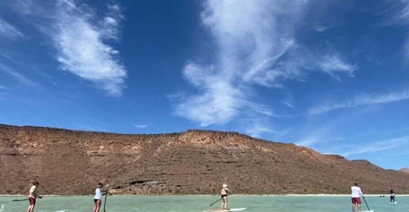 From La Paz: Sea Lions & Paddleboard Tour in Espiritu Santo - Itinerary Highlights