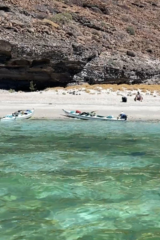 From La Paz: Sea Lions & Paddleboard Tour in Espiritu Santo - Lunch Break