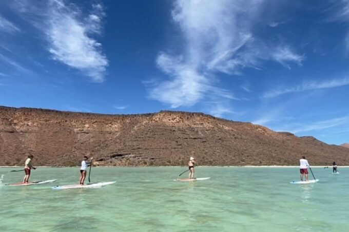 From La Paz: Sea Lions & Paddleboard Tour in Espiritu Santo - Experience Highlights