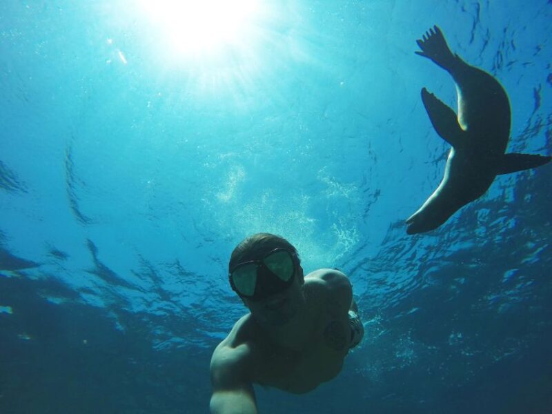 From La Paz: Swim With Sea Lions & Espíritu Santo Boat Tour - Activity Description