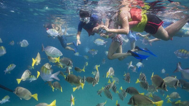 From La Paz: Swim With Sea Lions & Espíritu Santo Boat Tour - Highlights of the Tour