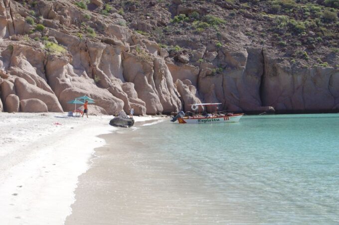 From La Paz: Swim With Sea Lions & Espíritu Santo Boat Tour - Important Notes