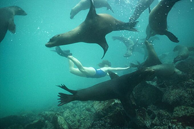 From La Paz: Swim With Sea Lions & Espíritu Santo Boat Tour - Customer Feedback