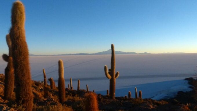 From La Paz to La Paz: Uyuni Salt Flat Tour 1D + Night Buses - Recap