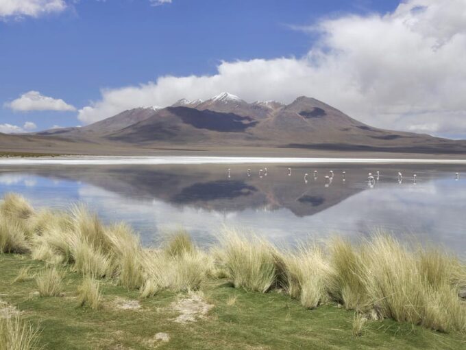 From La Paz | Tour Bus Uyuni + San Pedro to Atacama | 4D/4N - Bus Transport and Meals