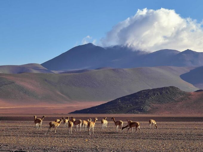 From La Paz: Uyuni Salt Flat and San Pedro De Atacama 3 Days - Day 4: Journey to San Pedro De Atacama