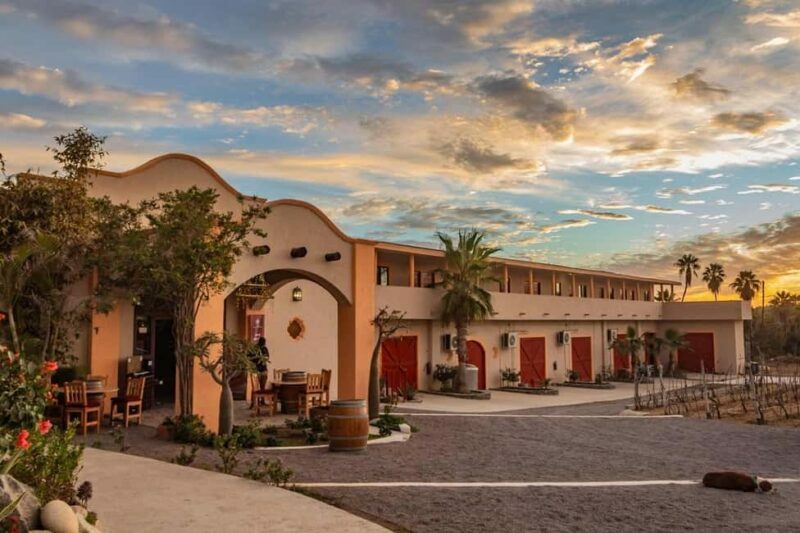 From La Playa: Vineyard Tour w/ Tasting & Todos Santos Stop - Arrival at the Vineyard