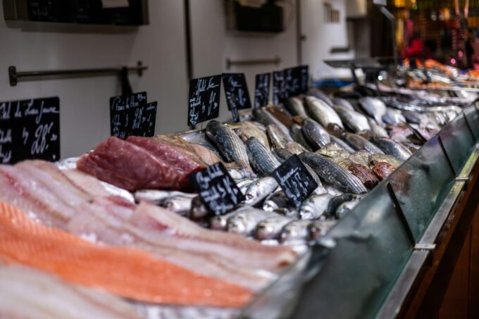 From La Rochelle: Fouras, Royan, and Oléron Island Day Trip - Important Information