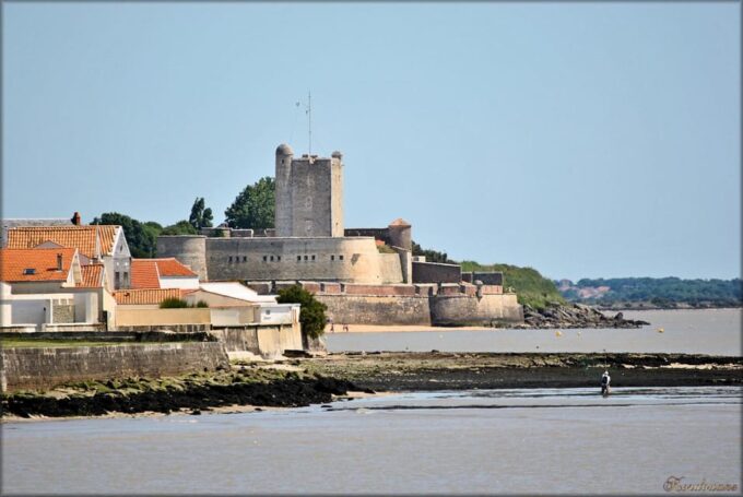 From La Rochelle: Fouras, Royan, and Oléron Island Day Trip - Booking and Cancellation Policy