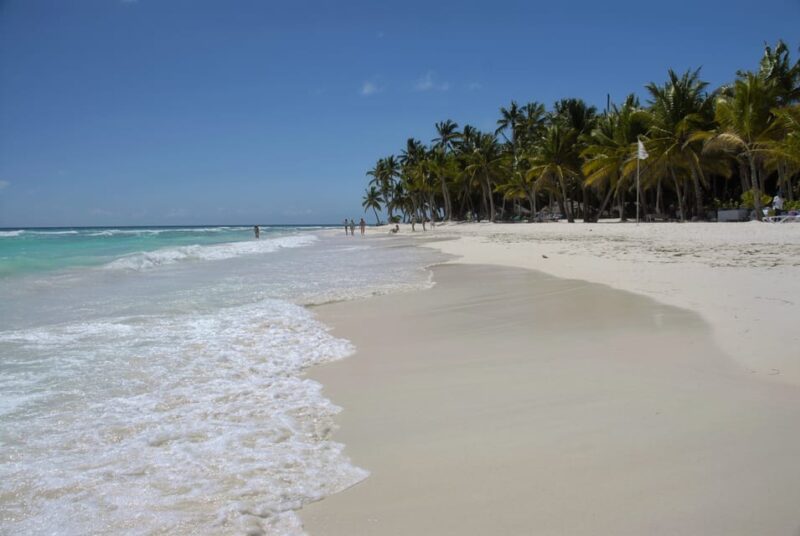 From La Romana: Saona Island for Carnival Cruises Passengers - Key Points