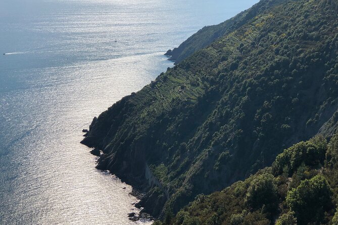 From La Spezia: The Sunset Cinque Terre Boat Tour - Accessibility and Requirements