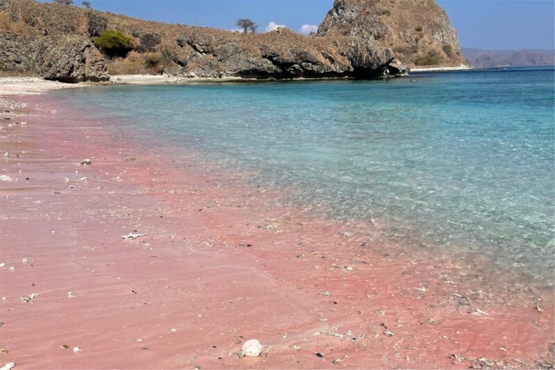 From Labuan Bajo: Dragons Tour & Island Hopping With All Fee - Key Points