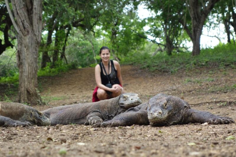 From Labuan Bajo Explore Komodo Dragon Island - Itinerary Highlights