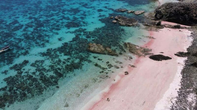 From Labuan Bajo Explore komodo island & Snorkeling - Participant Experience and Feedback