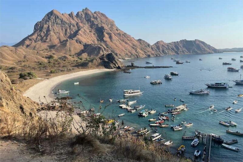 From Labuan Bajo: Komodo Dragons and Island Hop with All Fee - The Sum Up
