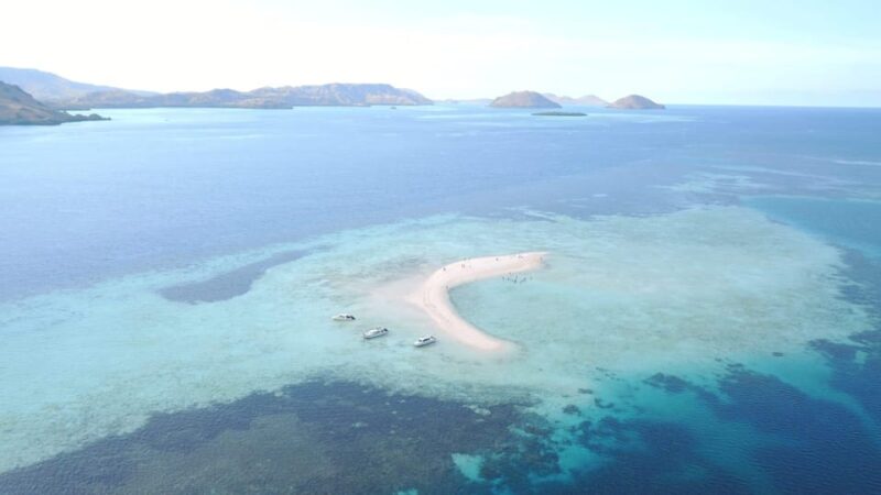 From Labuan Bajo: Komodo Island Day Tour With Speedboat - Sightings and Observations