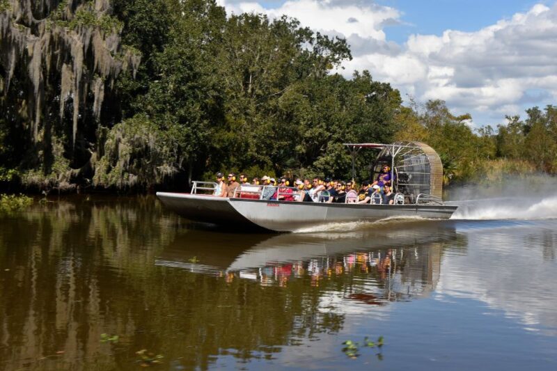 From Lafitte: Swamp Tours South of New Orleans by Airboat - Experience Highlights
