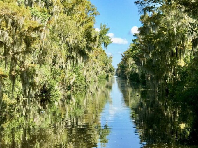 From Lafitte: Swamp Tours South of New Orleans by Airboat - Transportation Options