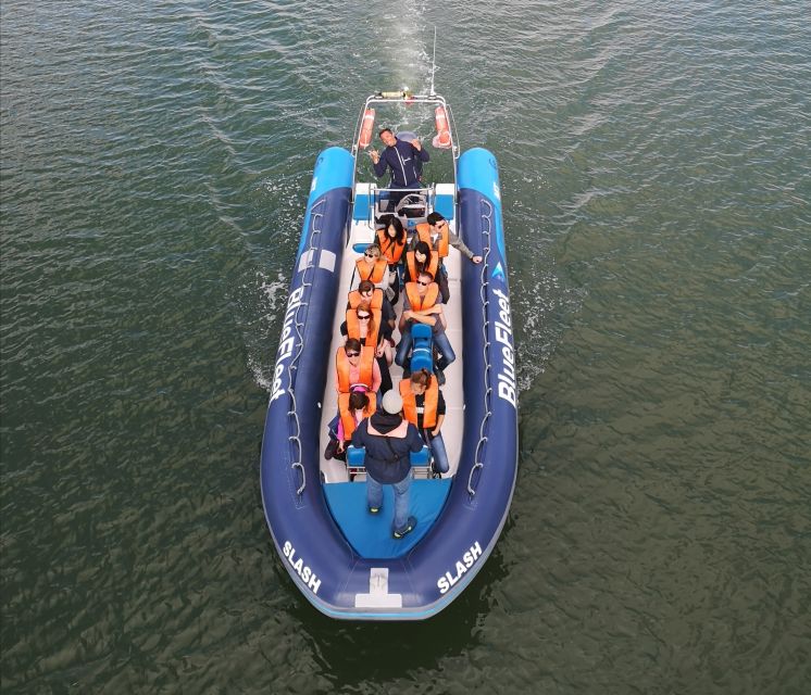 From Lagos: Dolphin Watching Boat Trip - Inclusions and Restrictions