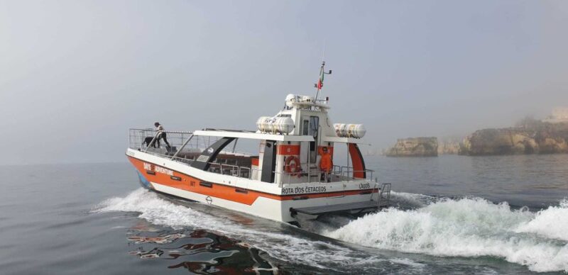 From Lagos: Family-Friendly Catamaran Tour of Benagil - Coastal Highlights