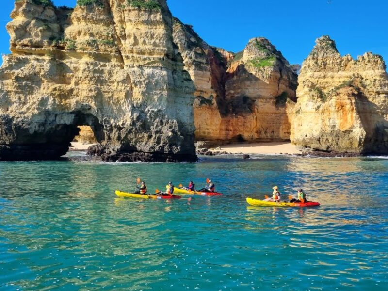 From Lagos: Kayak Experience in Ponta Da Piedade - Pricing and Booking Details