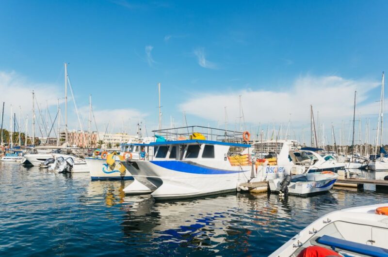 From Lagos: Kayaking and Boat Cave Explorer Tour - Preparation and Important Information
