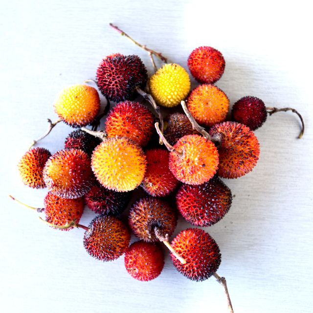 From Lagos: Monchique Guided Forest Walk W/Medronho Tasting - Included Amenities