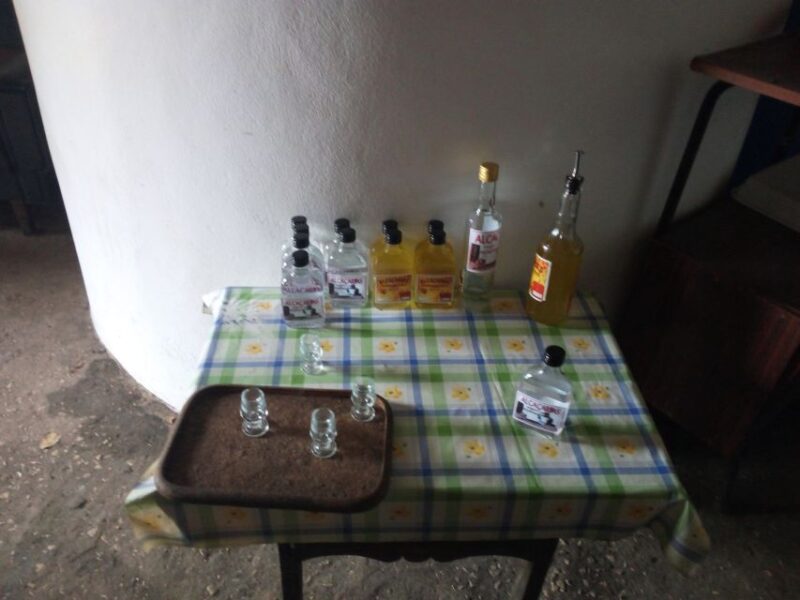 From Lagos: Monchique Guided Forest Walk W/Medronho Tasting - Scenic Mountain Trails