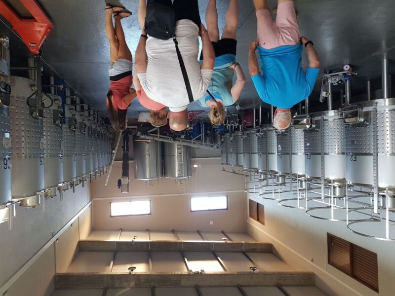 From Lagos: Private Algarve Wineries Tour With Tastings - Pickup and Drop-off Locations