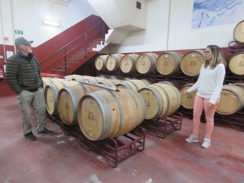 From Lagos: Private Algarve Wineries Tour With Tastings - Highlights of the Tour