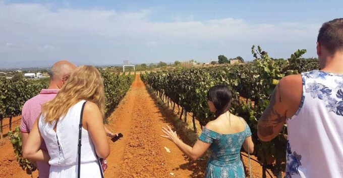 From Lagos: Private Algarve Wineries Tour With Tastings - Important Information