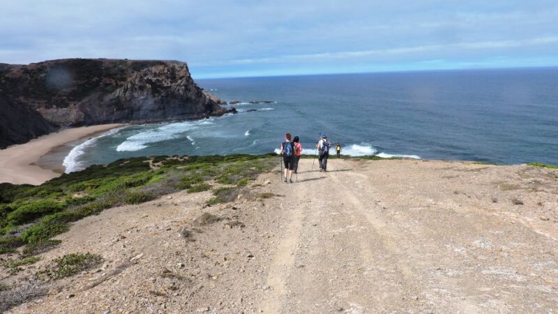 From Lagos: Private Guided Hike Along the Vicentina Coast - Itinerary and Experience