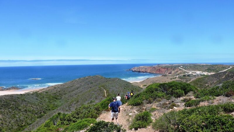 From Lagos: Private Guided Hike Along the Vicentina Coast - Expertise of the Local Guide