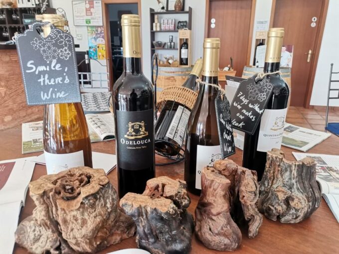 From Lagos: Small-Group 4-Hour Wine Tasting Tour - Customer Feedback and Ratings