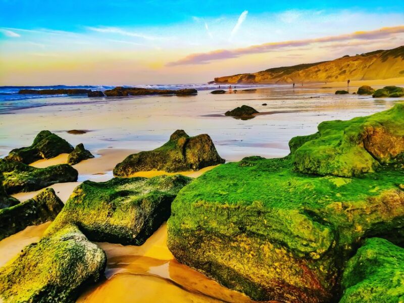 From Lagos: Wild and Wonderful West Coast Full-Day Tour - Participant Information