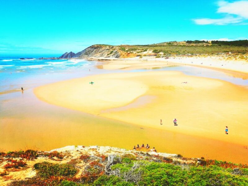 From Lagos: Wild and Wonderful West Coast Full-Day Tour - Transport and Amenities